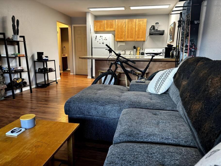 Cozy Condo In Winter Park - On Blue Bus Route - Walk To Downtown, Restaurants, Grocery Eksteriør billede